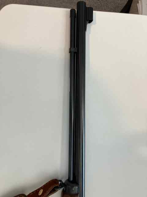 IMG_3343.jpeg