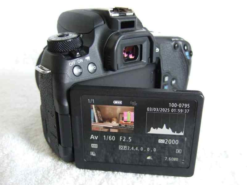 2100640.jpg