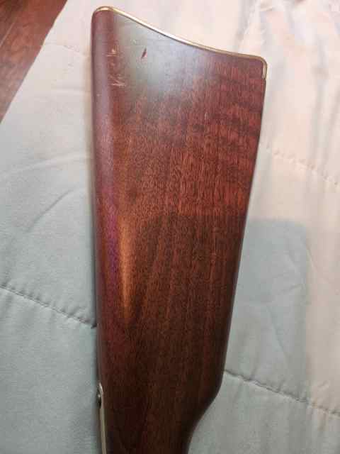 20250427_095006.jpg