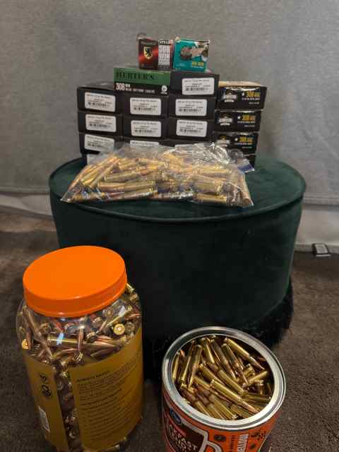 .308 ammo Come And Get It