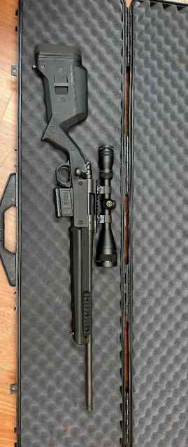 Remington 700 .308