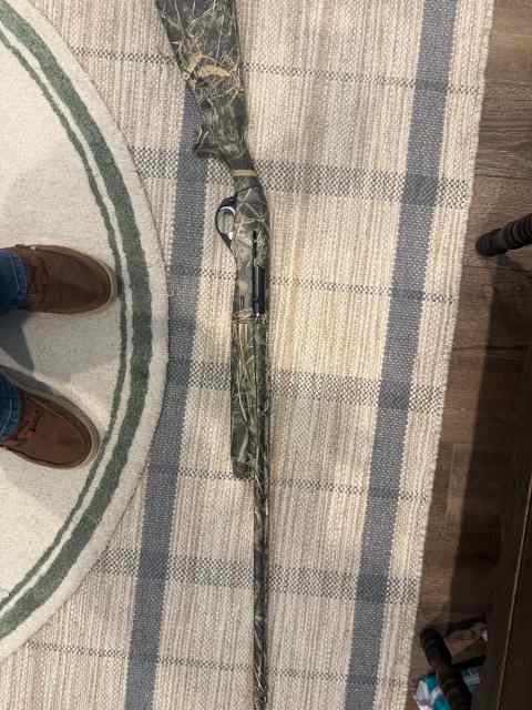 Benelli M2 20ga
