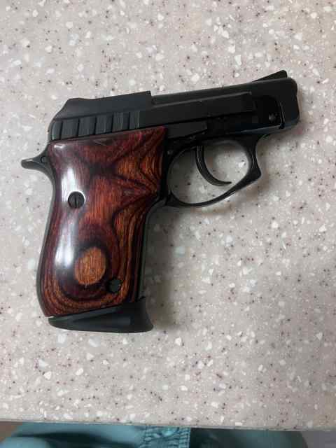 Taurus PT-22