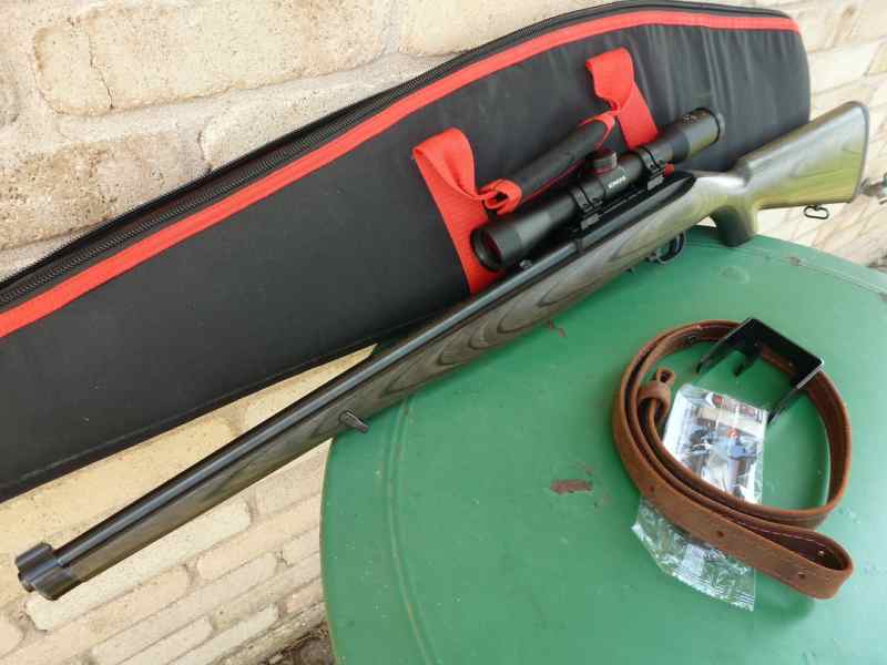 ruger15.JPG