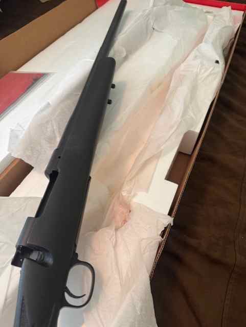 Winchester 70 .308 Stealth