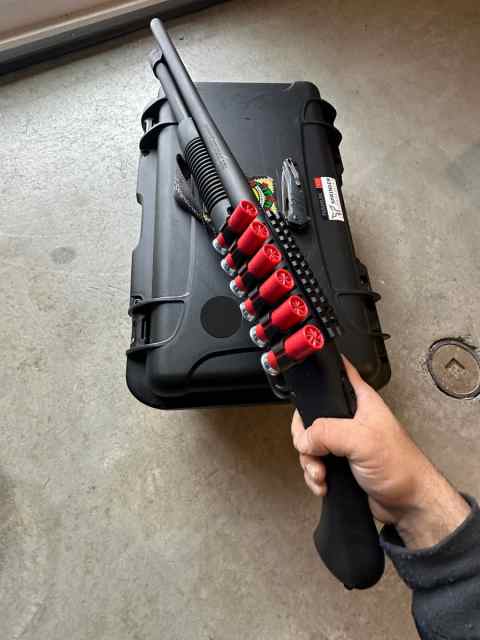 Shockwave 500