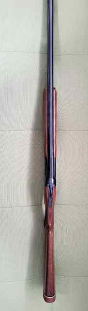 IMG-20250322-WA0005.jpg