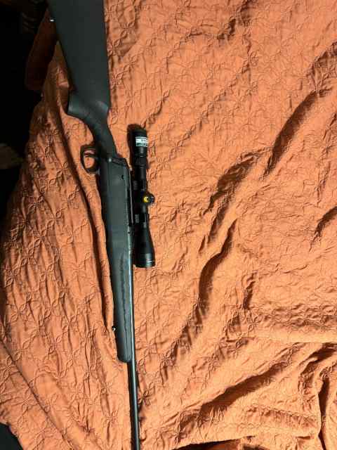 Savage 22-250