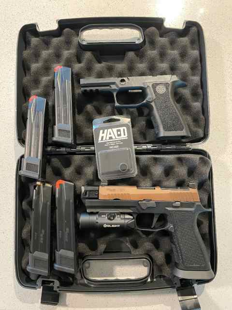 RUGER 10/22 Takedown Magpul backpacker + mags $500