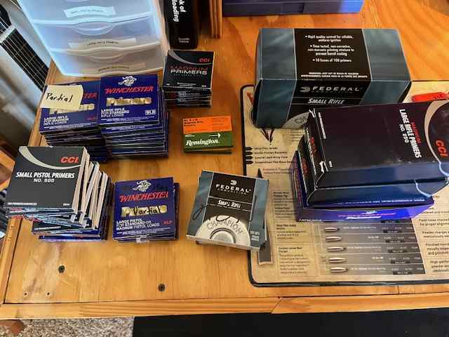 image8.jpeg