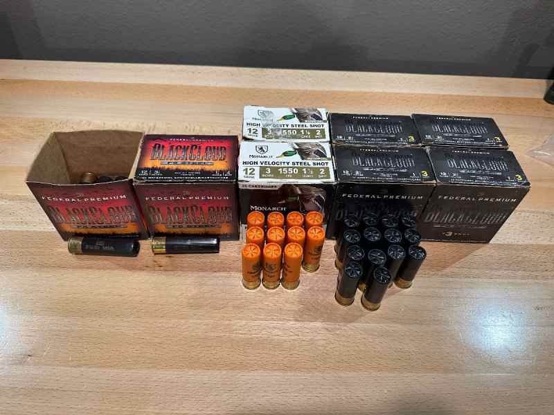 Waterfowl hunting ammo lot 12ga BB,#2,#3,#4 shot