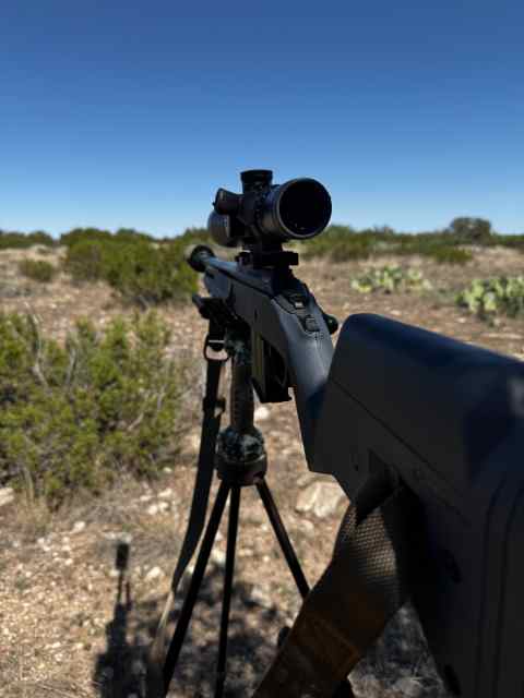 Ruger American 6.5 Creedmoor