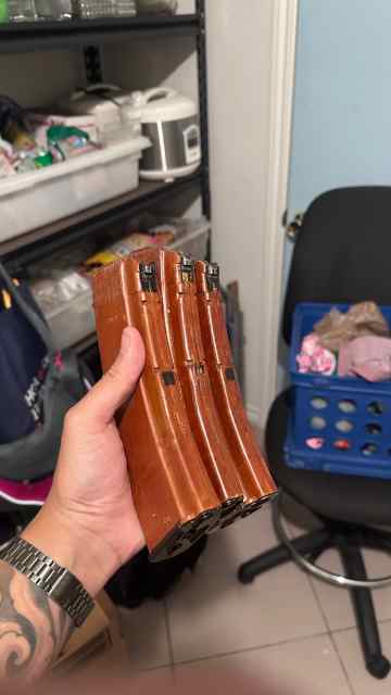 IMG_2837.jpeg