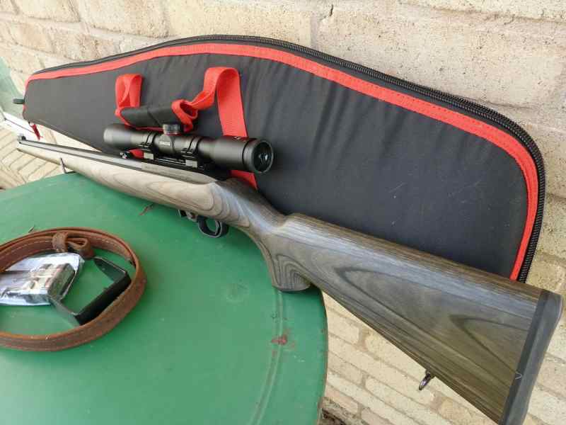 ruger14.JPG