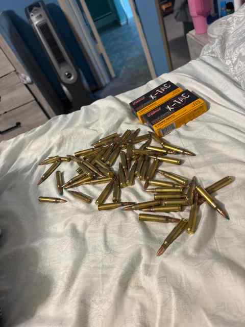 556 green tips 